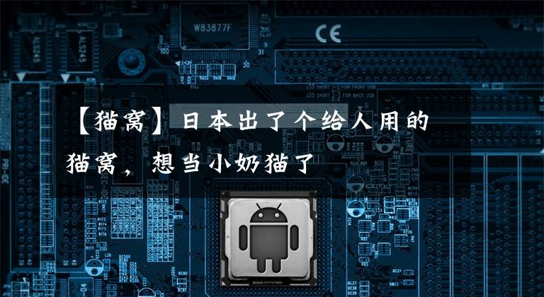 【猫窝】日本出了个给人用的猫窝，想当小奶猫了