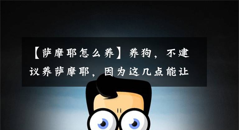 【萨摩耶怎么养】养狗，不建议养萨摩耶，因为这几点能让你很头疼