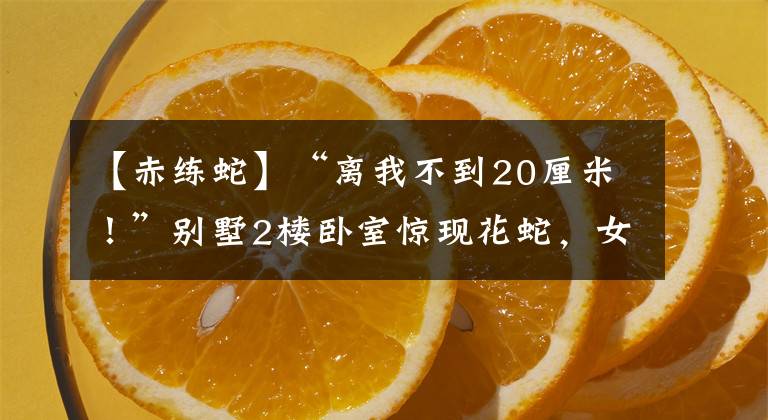 【赤练蛇】“离我不到20厘米!”别墅2楼卧室惊现花蛇,女主人吓得直呼救
