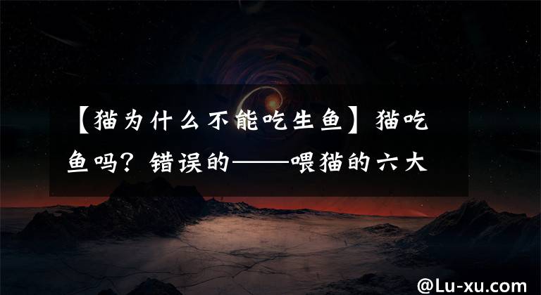 【猫为什么不能吃生鱼】猫吃鱼吗？错误的——喂猫的六大法则，你是对的吗？