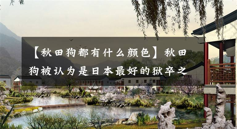 【秋田狗都有什么颜色】秋田狗被认为是日本最好的狱卒之一，到底有什么独特之处？
