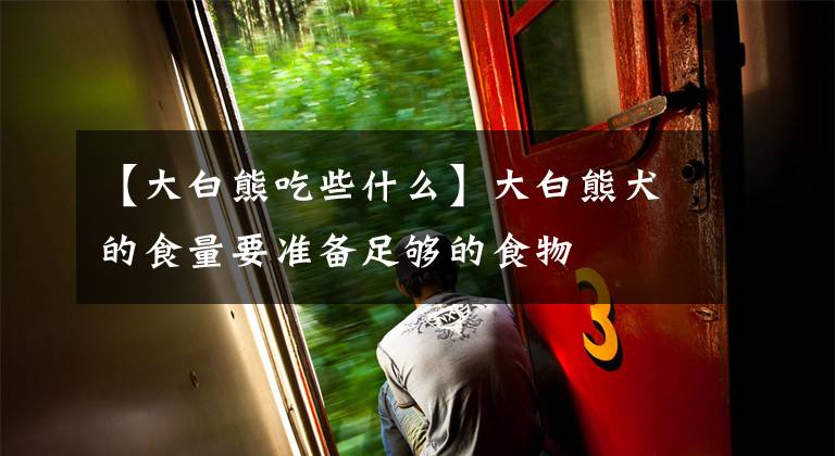 【大白熊吃些什么】大白熊犬的食量要准备足够的食物