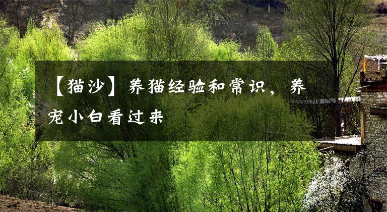 【猫沙】养猫经验和常识，养宠小白看过来