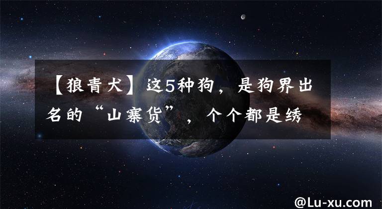 【狼青犬】这5种狗,是狗界出名的“山寨货”,个个都是绣花枕头