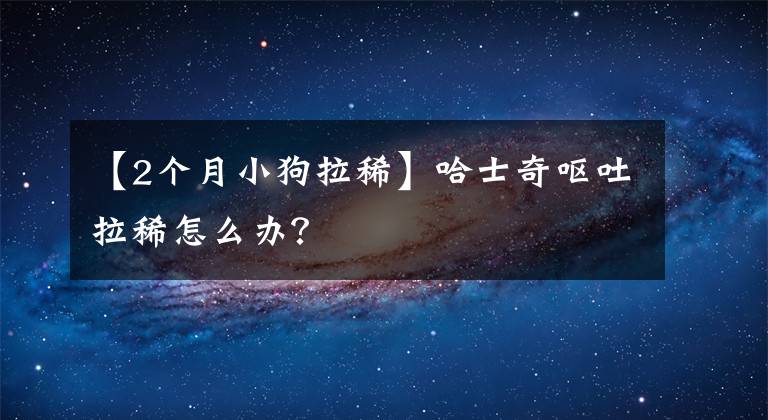 【2个月小狗拉稀】哈士奇呕吐拉稀怎么办？