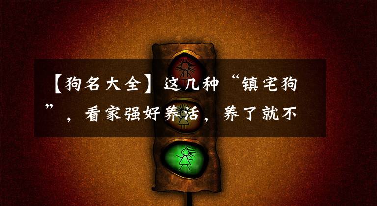 【狗名大全】这几种“镇宅狗”，看家强好养活，养了就不想换狗了