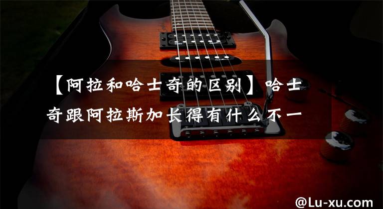 【阿拉和哈士奇的区别】哈士奇跟阿拉斯加长得有什么不一样的？