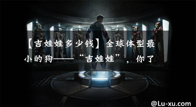 【吉娃娃多少钱】全球体型最小的狗——“吉娃娃”，你了解吗？