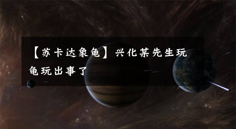 【苏卡达象龟】兴化某先生玩龟玩出事了