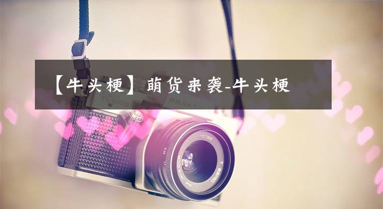 【牛头梗】萌货来袭-牛头梗