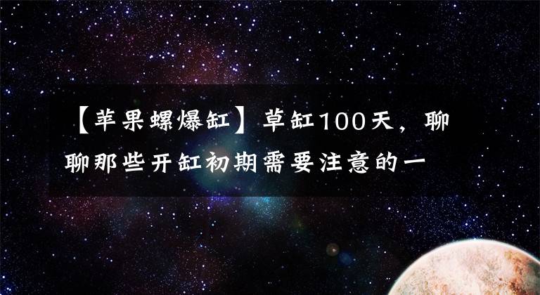 【苹果螺爆缸】草缸100天,聊聊那些开缸初期需要注意的一些事情
