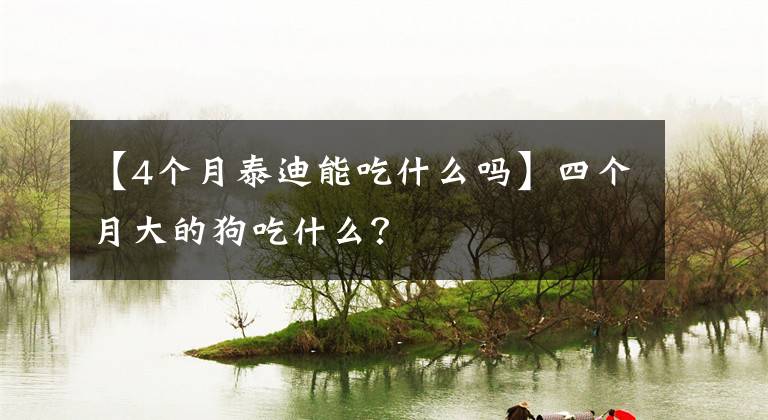 【4个月泰迪能吃什么吗】四个月大的狗吃什么？