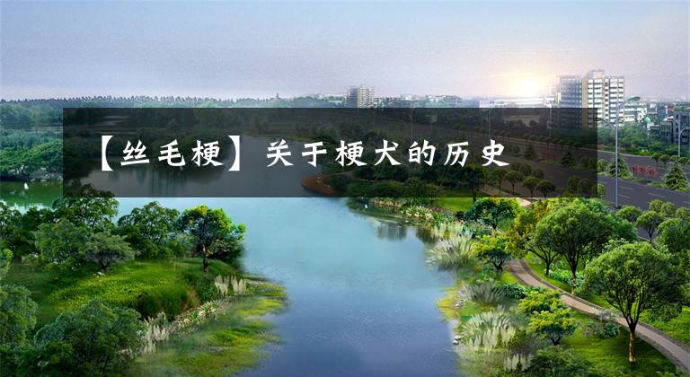 【丝毛梗】关于梗犬的历史