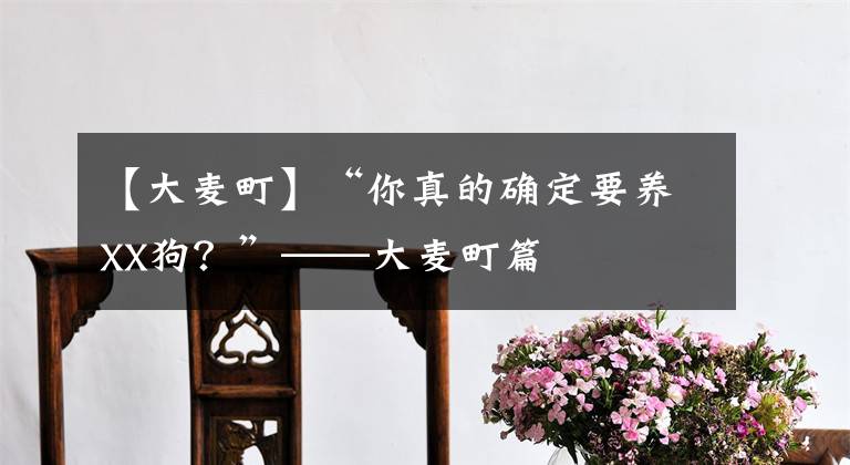 【大麦町】“你真的确定要养XX狗？”——大麦町篇