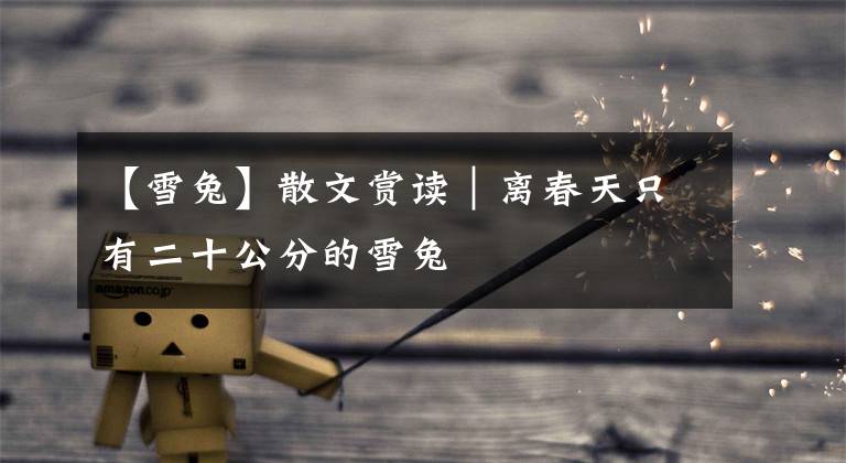 【雪兔】散文赏读｜离春天只有二十公分的雪兔