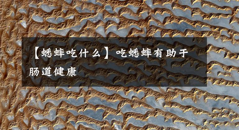 【蟋蟀吃什么】吃蟋蟀有助于肠道健康