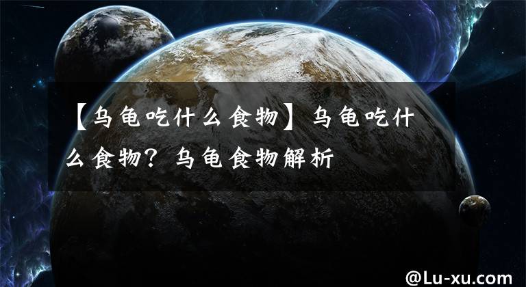 【乌龟吃什么食物】乌龟吃什么食物？乌龟食物解析