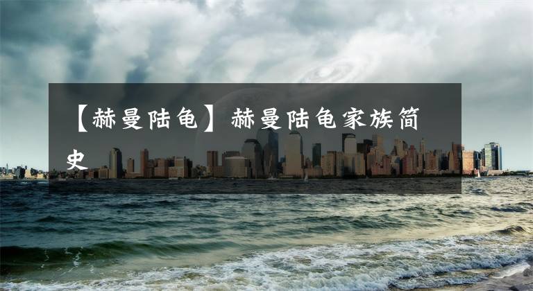 【赫曼陆龟】赫曼陆龟家族简史