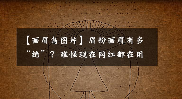 【画眉鸟图片】眉粉画眉有多“绝”？难怪现在网红都在用，这4个优点增加高级感