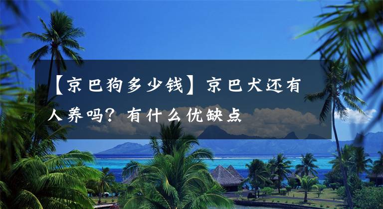 【京巴狗多少钱】京巴犬还有人养吗？有什么优缺点