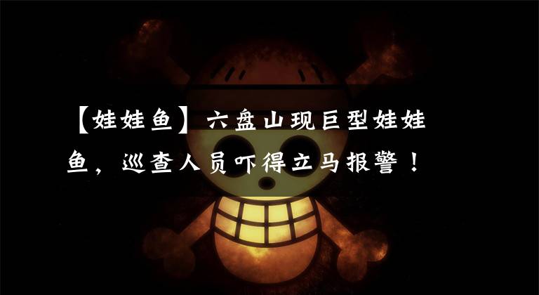 【娃娃鱼】六盘山现巨型娃娃鱼,巡查人员吓得立马报警!专家:国内少见