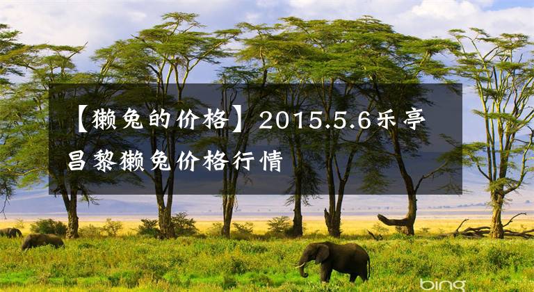 【獭兔的价格】2015.5.6乐亭昌黎獭兔价格行情