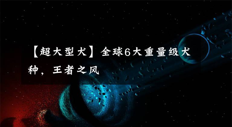 【超大型犬】全球6大重量级犬种，王者之风