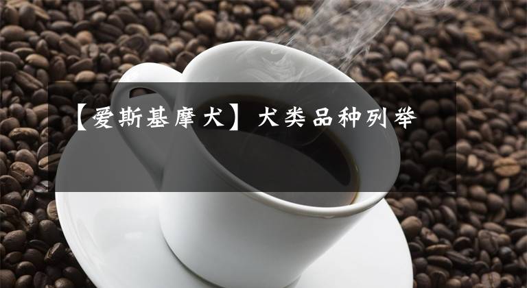 【爱斯基摩犬】犬类品种列举