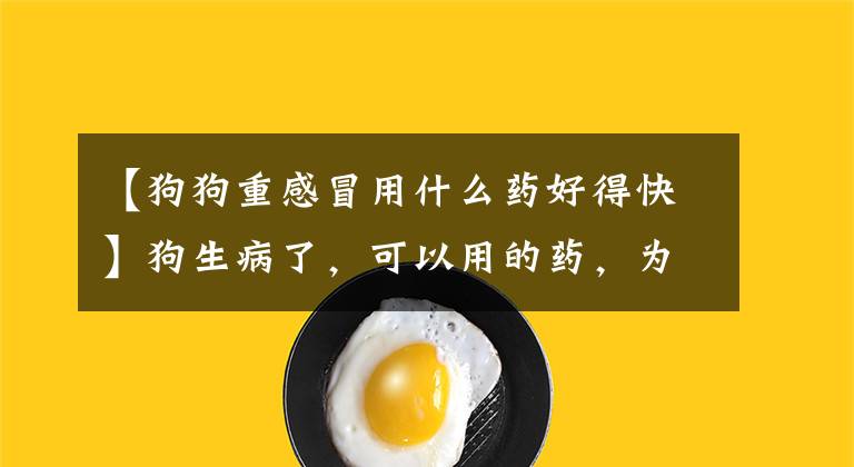 【狗狗重感冒用什么药好得快】狗生病了,可以用的药,为了以防万一,马起来了