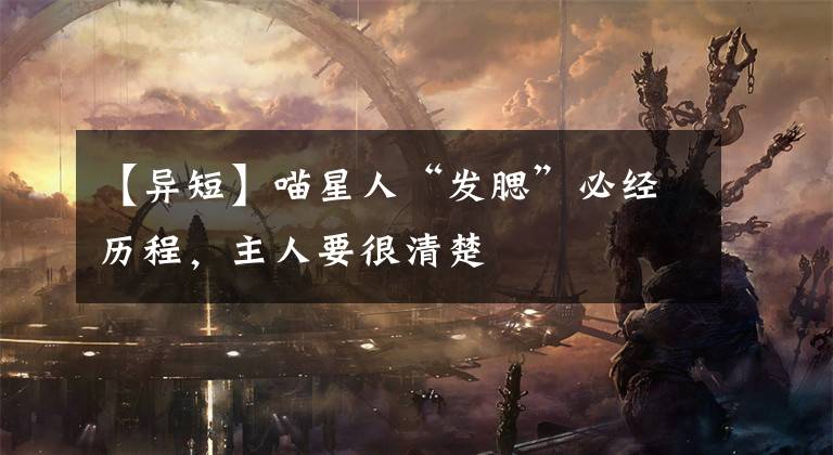 【异短】喵星人“发腮”必经历程，主人要很清楚