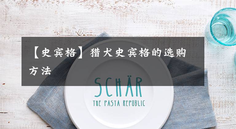 【史宾格】猎犬史宾格的选购方法