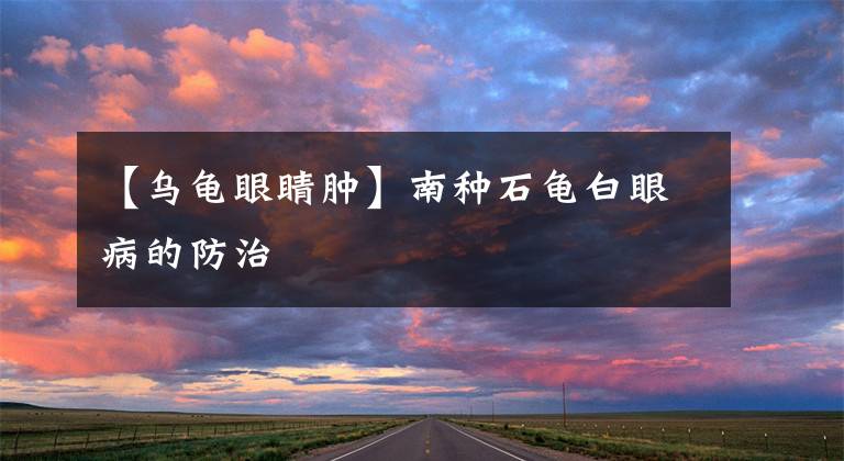 【乌龟眼睛肿】南种石龟白眼病的防治