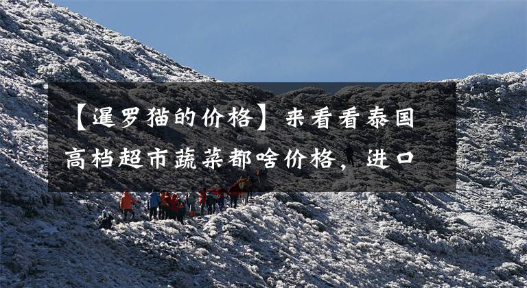 【暹罗猫的价格】来看看泰国高档超市蔬菜都啥价格,进口西蓝花每斤五元,贵不?