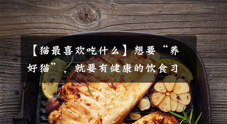 【猫最喜欢吃什么】想要“养好猫”，就要有健康的饮食习惯，你家的猫咪吃得健康吗？