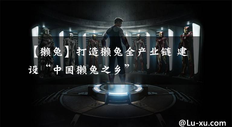 【獭兔】打造獭兔全产业链 建设“中国獭兔之乡”