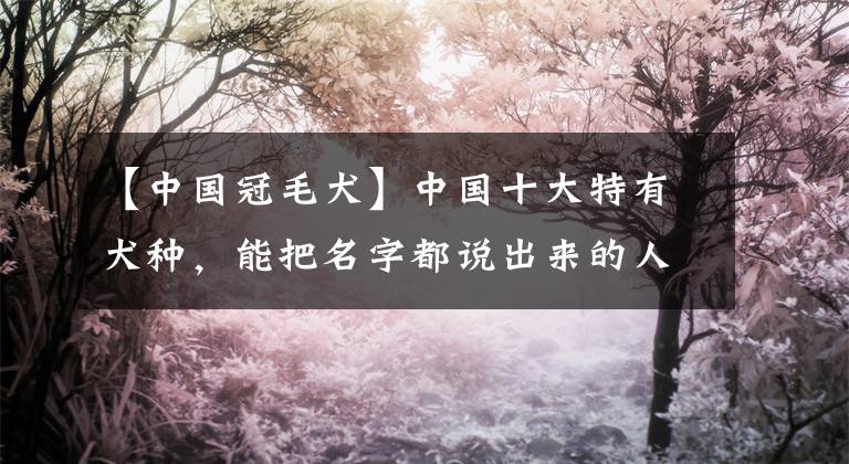 【中国冠毛犬】中国十大特有犬种，能把名字都说出来的人不多