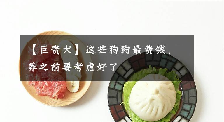 【巨贵犬】这些狗狗最费钱，养之前要考虑好了
