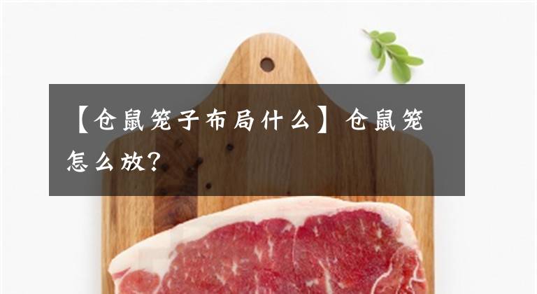 【仓鼠笼子布局什么】仓鼠笼怎么放?