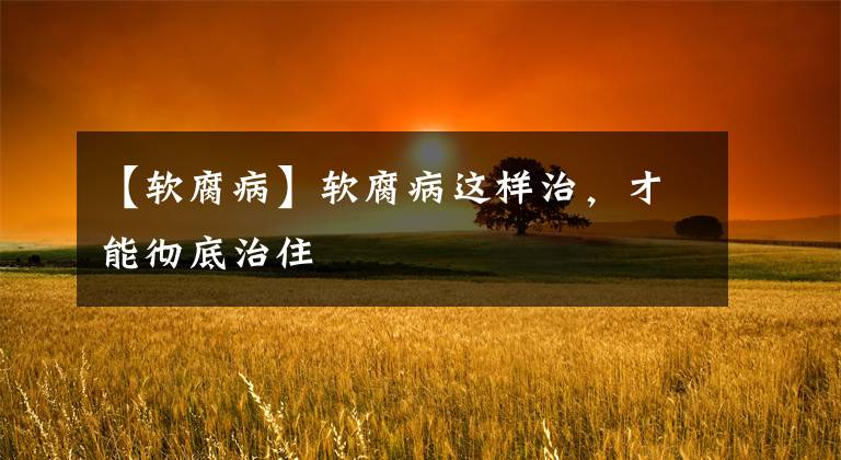 【软腐病】软腐病这样治,才能彻底治住