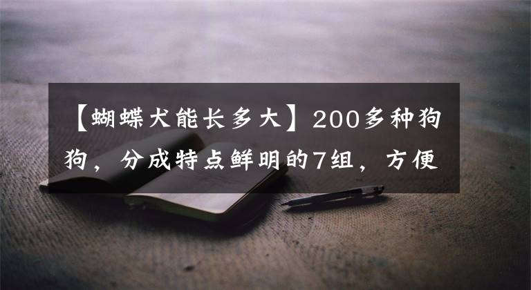 【蝴蝶犬能长多大】200多种狗狗，分成特点鲜明的7组，方便想养狗的人避坑