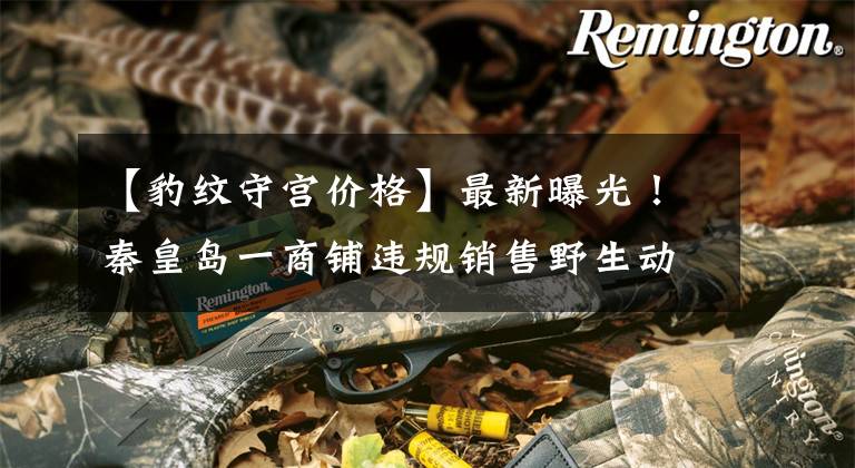 【豹纹守宫价格】最新曝光！秦皇岛一商铺违规销售野生动物被移交森林公安