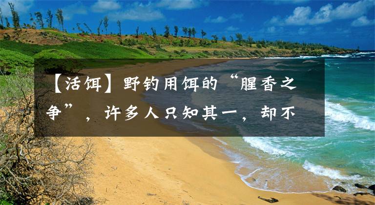 【活饵】野钓用饵的“腥香之争”,许多人只知其一,却不知其二