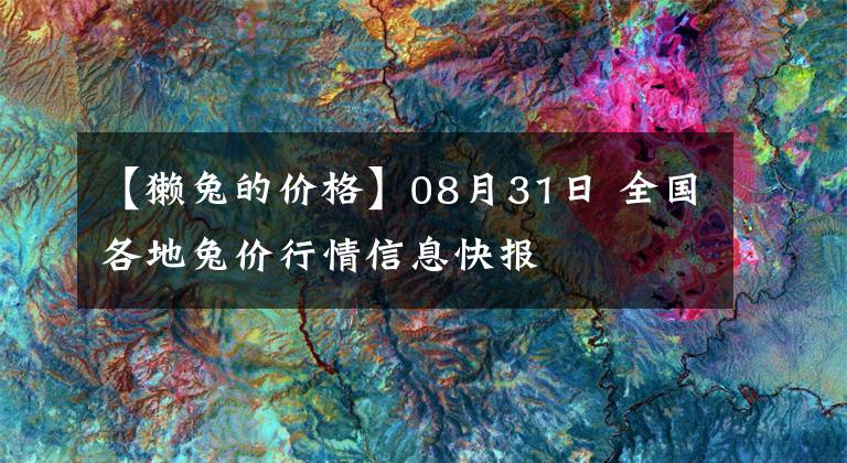 【獭兔的价格】08月31日 全国各地兔价行情信息快报