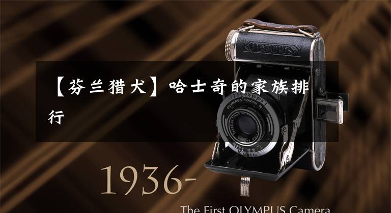 【芬兰猎犬】哈士奇的家族排行