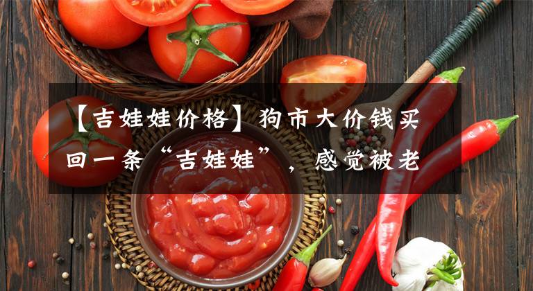 【吉娃娃价格】狗市大价钱买回一条“吉娃娃”，感觉被老板坑了！