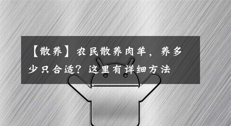 【散养】农民散养肉羊,养多少只合适?这里有详细方法