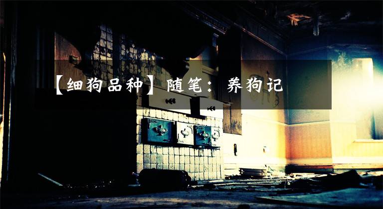 【细狗品种】随笔:养狗记