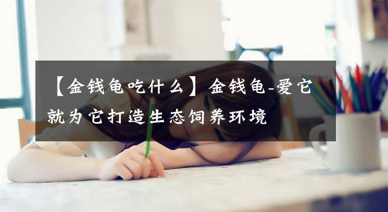 【金钱龟吃什么】金钱龟-爱它就为它打造生态饲养环境