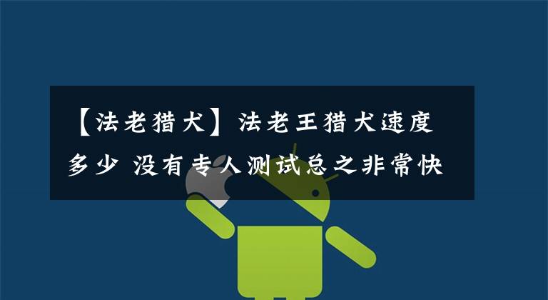 【法老猎犬】法老王猎犬速度多少 没有专人测试总之非常快