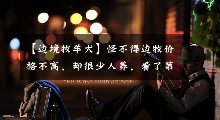 【边境牧羊犬】怪不得边牧价格不高，却很少人养，看了第一点就明白了